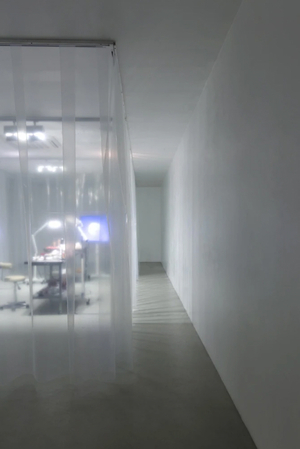 Exhibition design. Valeria Abendroth. Anna Nova Gallery