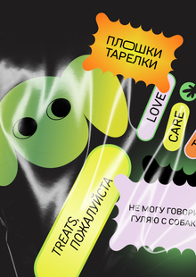 Сервис доставки бенто-рационов для собак «Плошки&nbsp;— тарелки»