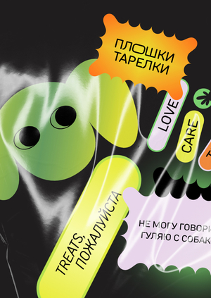 Сервис доставки бенто-рационов для собак «Плошки – тарелки»