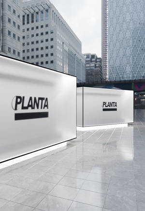 Planta Rosa