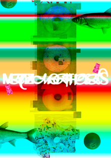 metamorphoses