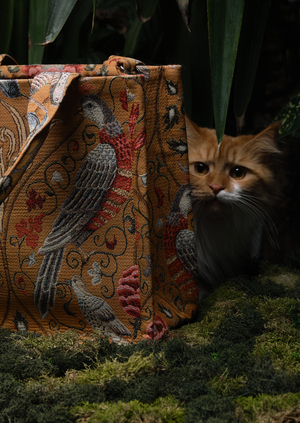 Предметная съёмка для бренда VUA-LYA