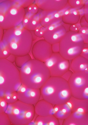 Опять мухомор виноват...