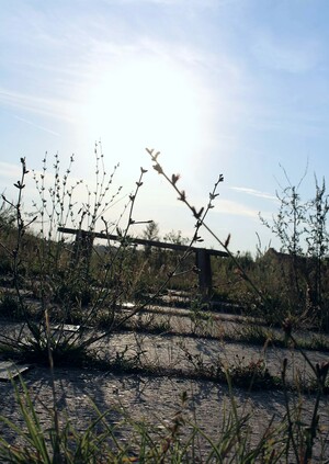 Очень странная деревня