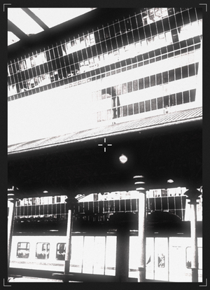 Дорога домой