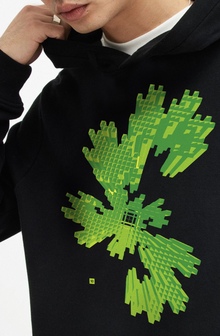 Dragon curve Dragon curve