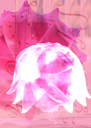 Цветочная мастерская Blossom