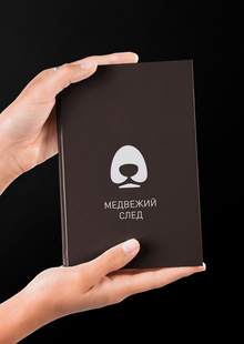 Визуально исследование культурного образа медведя