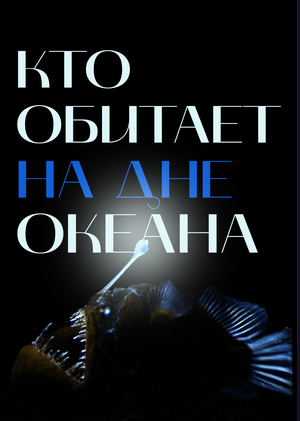 Кто обитает на дне океана