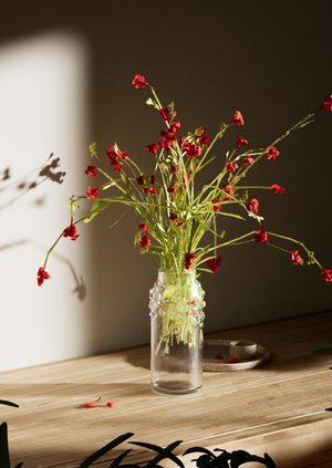 Red Carnations