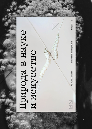 Визуальное исследование: природа в науке и искусстве