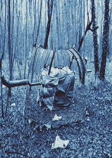 2. Место становится домом. Проблемы новейшего времени.