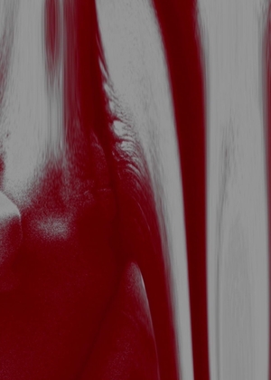 Титры к фильму "Три цвета: красный"