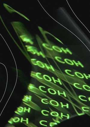 лес.сон // плакаты