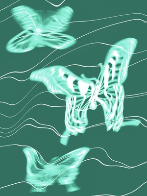 лес.сон // брендинг