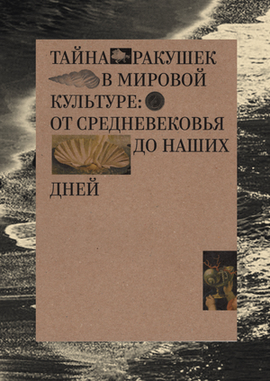 тайна ракушек 