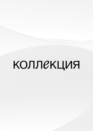 Айдентика выставки «Коллекция»