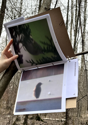 Способы идентификации птиц