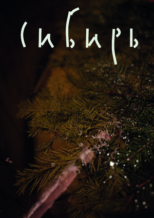 брендинг бани «сибирь» 