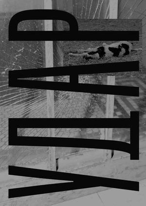 Том на ферме