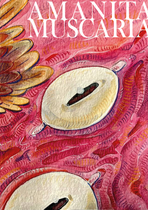Amanita Muscaria