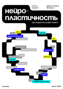 Нейропластичность или как отрастить себе талант