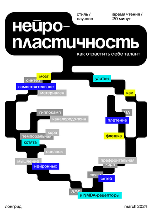 Нейропластичность или как отрастить себе талант