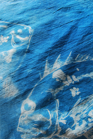 Рыбьи паруса