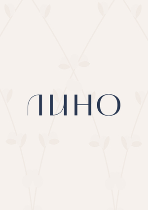LINO // бриф