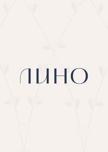 LINO // бриф