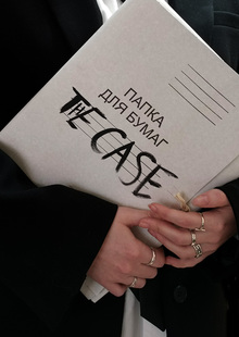THE CASE