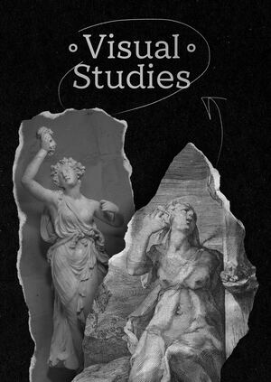 HSE Visual Studies