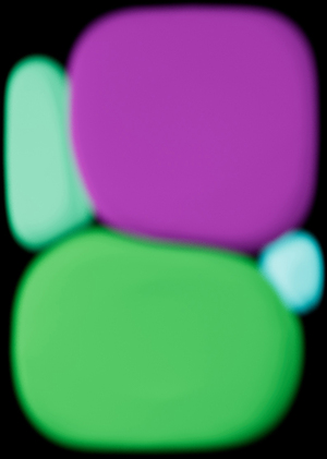Identifier Invastable