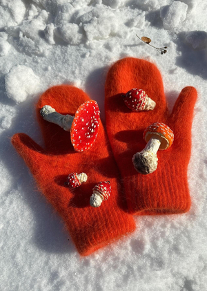 Мухомор интерьерный