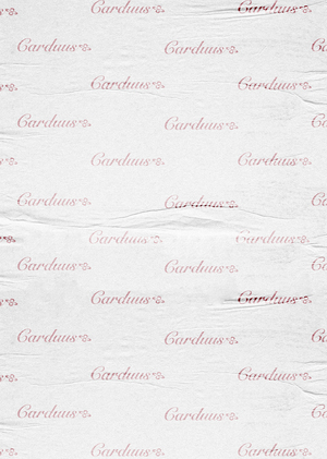 CARDUUS | BRAND IDEA