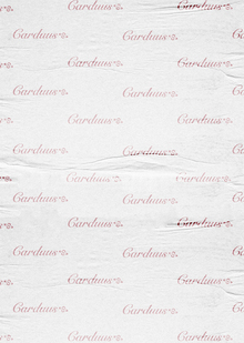 CARDUUS | BRAND IDEA