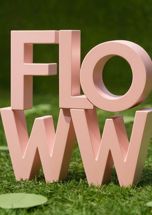 Фестиваль ментального и физического здоровья Floww