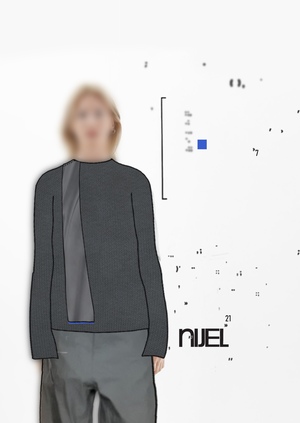 Разработка бренда NIJEL