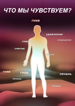 Чувства и эмоции