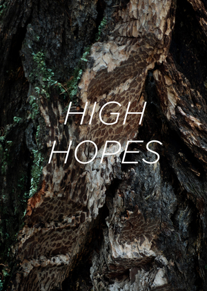 High Hopes
