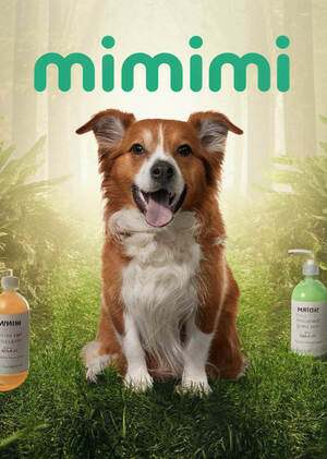 Rebranding of "MIMIMI" dog care cosmetics using neuronets