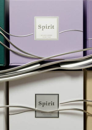 Брендинг упаковки аромадиффузоров "SPIRIT", с помощью неройсетей