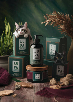 Прикладное применение нейросетей для бренда Lu Pa