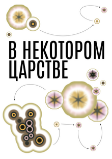 В некотором царстве В некотором царстве
