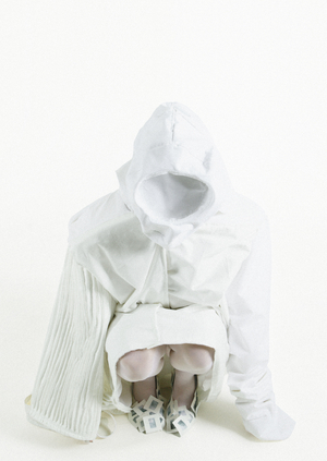 immortalized reminiscence