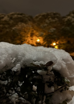 Зимняя весна в Парке Горького