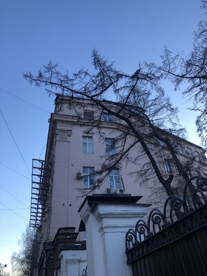 4:33 на улице Образцова