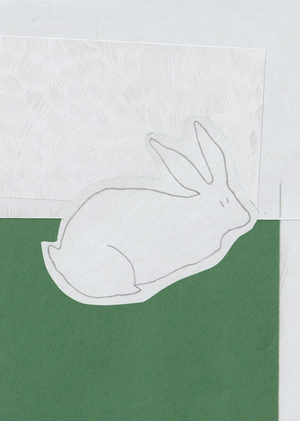 Зайки и лужайки