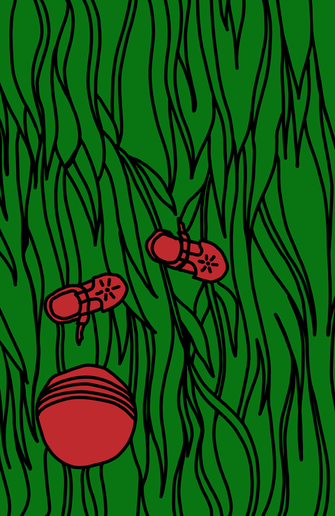 Трава у дома