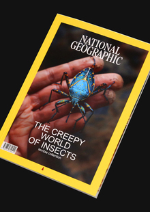 == sync, corrected by elderman == @elder_man